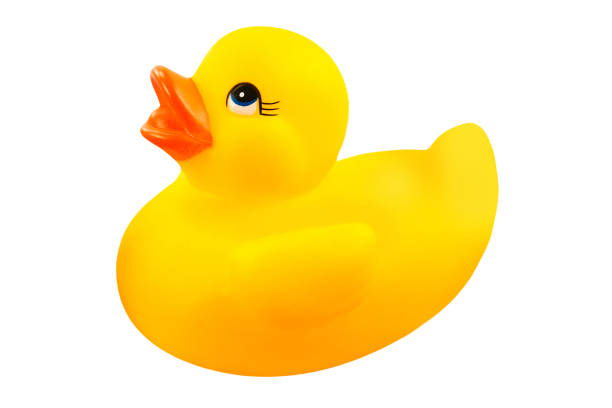 istock 1 Yellow rubber duck isolated on white  background 1496572481