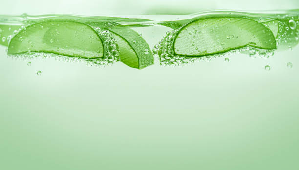 istock Aloe vera slices under water on green background. Copy space. 1496573464