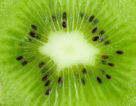 Green kiwi macro shot. Fruits background. close up