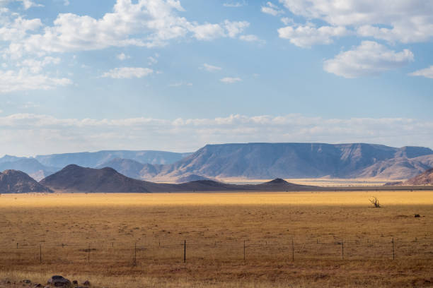istock Namibian Desert Landscape 1496575550