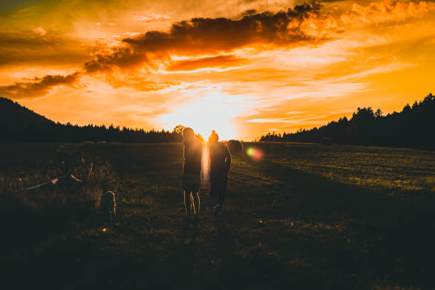 istock silhouettes on mown field at sunset 1496578688