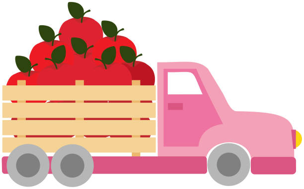 vektorillustration mit rosa lastwagen mit roten äpfeln im cartoon-stil - pick up truck old car traffic stock-grafiken, -clipart, -cartoons und -symbole