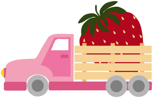 만화 스타일의 빨간 딸기가 있는 분홍색 트럭이 있는 벡터 그림 - pick up truck old car traffic stock illustrations