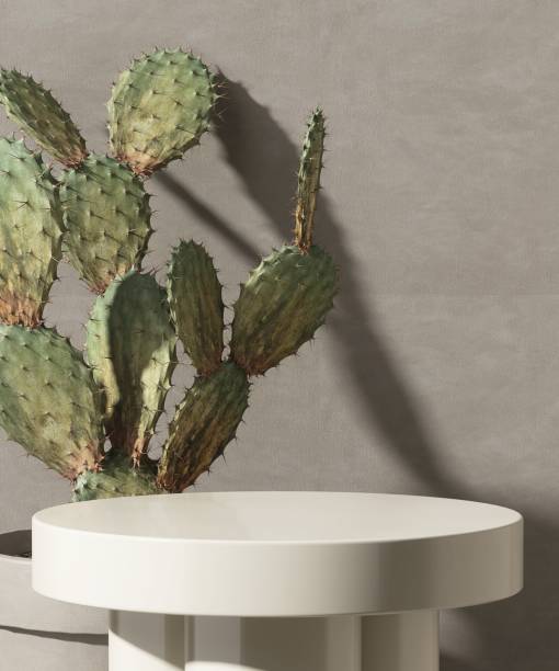 istock Modern glossy white round podium table, bunny ears cactus in sunlight, shadow on blank beige concrete stucco texture wall 1496579957