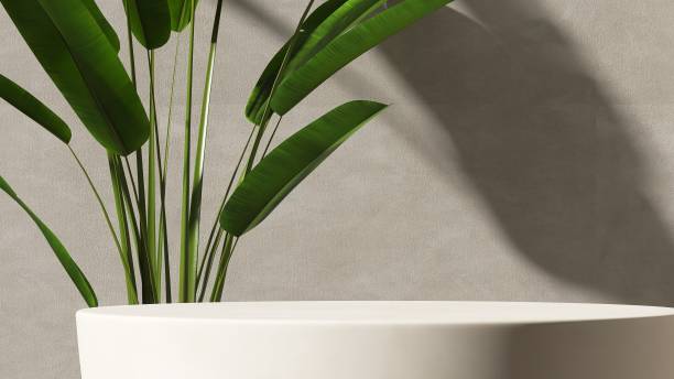 istock Modern glossy white round podium table, tropical banana tree in sunlight, shadow on blank beige concrete stucco texture wall 1496580936