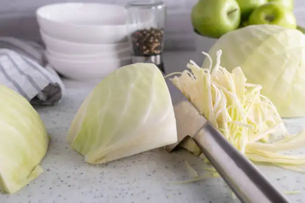 Preparing food with a fresh cabbage sliced with a chopper knife on a a cutting board on kitchen counter background. Closeup, front view