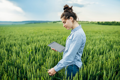 Female agronomist using digital tablet in agricultural filed.