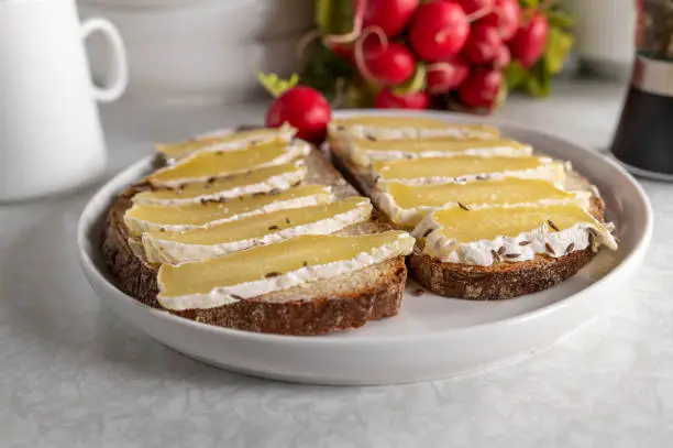 Healthy german sandwich food with low fat and high protein harzer cheese. Served on sourdough bread.