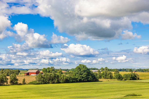 istock Landscape view in the countryside with a barn 1496582569