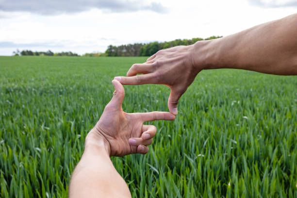 The Sustainable Farm An unrecognisable farmer creating a finger frame with his hands, to frame part of the wheat crop in his field on his farm. The crop is first wheat and is going to be used in low quality flour for baking and will be harvested in early September. hand cropping photos stock pictures, royalty-free photos & images