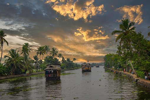 Alappuzha backwaters landscape in Kerala state in India