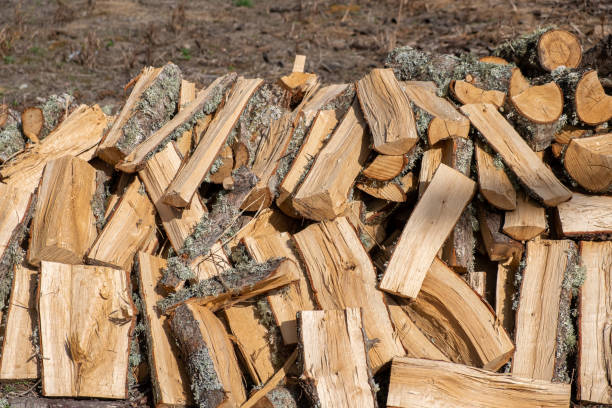 istock cut and stacked oak firewood 1496587460