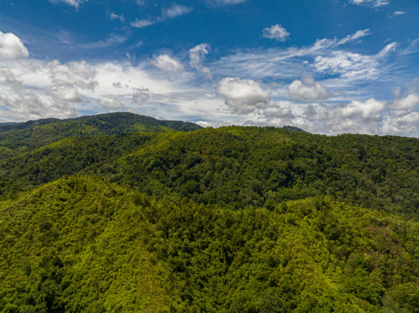 istock Mountains with rainforest and jungle. Sumatra, Indonesia. 1496594999
