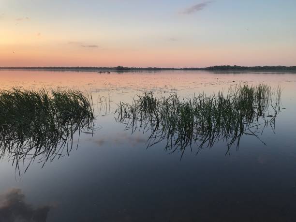 istock Colorful sunset sky over the lake 1496598425