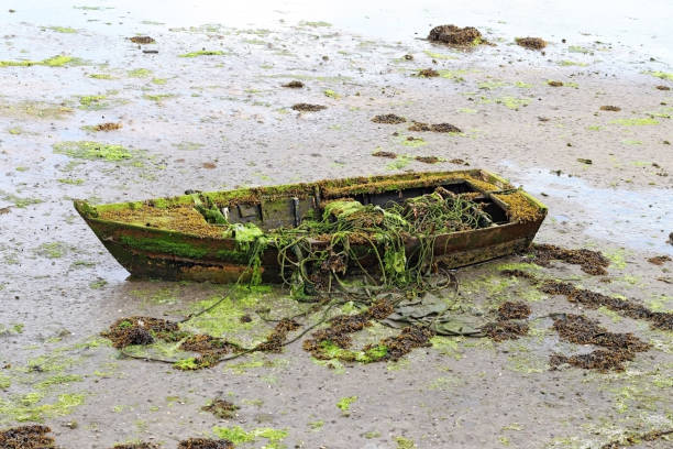 Single boat at low tide