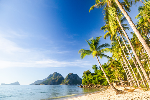 Scenic beach in El Nido, Philippines. The sandy shore stretches out, bordered by a row of palm trees that provide shade and add to the natural beauty of the scene. In the background, multiple islands emerge from the calm sea, completing the picturesque backdrop. The composition captures the tranquil atmosphere of the beach, the presence of palm trees, and the scenic islands that adorn the horizon.