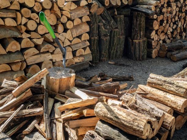 istock Wood logs, arranged in a pile on a sunny day 1496606206