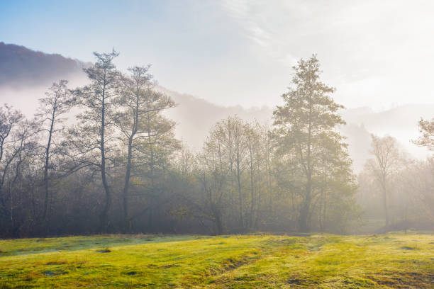 istock carpathian countryside on a misty autumn morning 1496611871