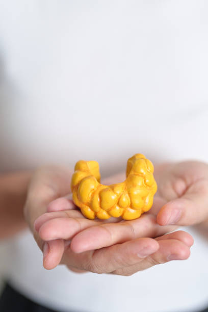 istock Woman holding human Thyroid anatomy model. Hyperthyroidism, Hypothyroidism, Hashimoto Thyroiditis, Thyroid Tumor and Cancer, Postpartum, Papillary Carcinoma and Health concept 1496612831