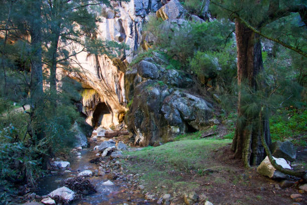 istock Cave Entrance and Forest Landscape 1496617479