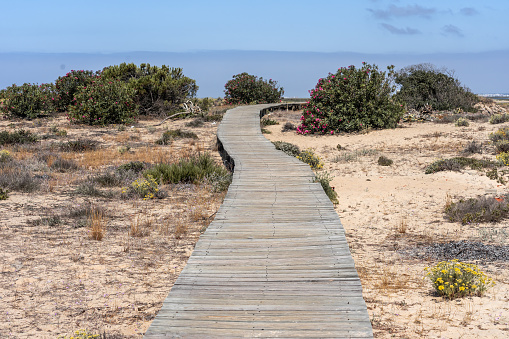 Landscape in the deserted island in the Formosa estuary natural park in Algarve region, Portugal