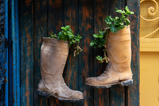 A pair of old, rubber boots are hung on a wooden board and repurposed as plant holders.