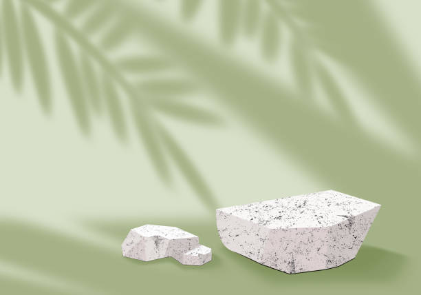 istock Exehibition podium. Green background. Tropical leaf shadow. 3D rendering. Group of White Stones. Display stand for cosmetic products. Tropical series 1496620549