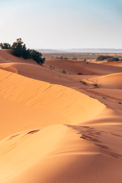 dunas de arena en el desierto marroquí - white desert fotografías e imágenes de stock