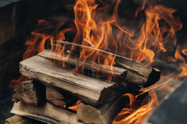 istock The perfect fire starter for your next 4th July BBQ 1496626227