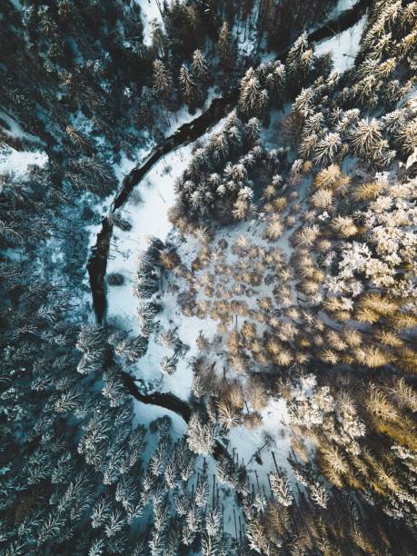 istock Aerial image of a winter landscape with snow-covered trees 1496627236