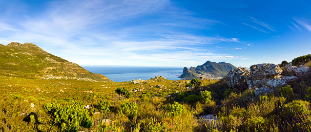 Hout Bay Coastal mountain landscape with fynbos flora in Cape Town, South Africa