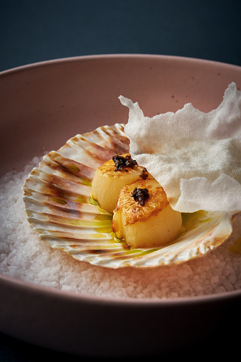 Fried scallop with truffle in a shell in a bowl on a gray background