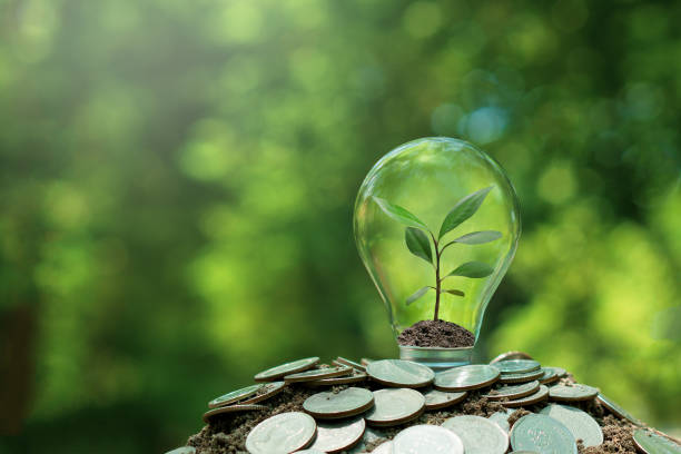 istock Small tree planted in light bulb on coin with nature background. Saving energy and eco concept.Saving money. 1496631232