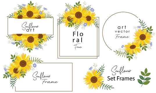 Sunflower wreath and badge vector set. Watercolor autumn border with sunflowers. Greeting or invitation card design wit yellow sunflowers and green leaves.