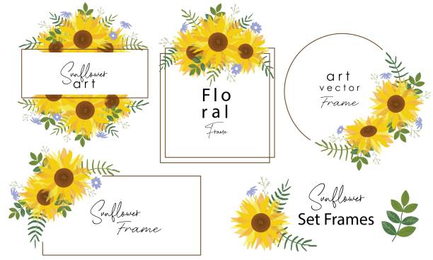 Sunflower wreath and badge vector set Sunflower wreath and badge vector set. Watercolor autumn border with sunflowers. Greeting or invitation card design wit yellow sunflowers and green leaves. orange sunflower stock illustrations