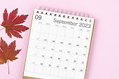 The September 2023 desk calendar for 2023 year with autumn maple leaf on pink color background.