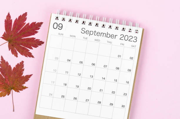 The September 2023 desk calendar for 2023 year with autumn maple leaf on pink color background. stock photo