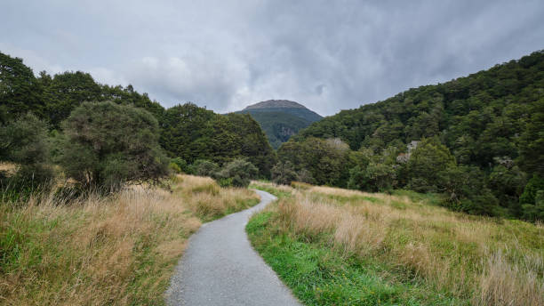 istock Blue Pools Track in New Zealand 1496643799