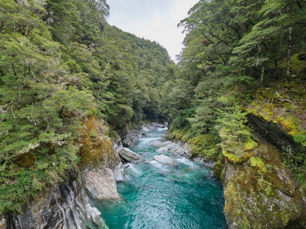 istock Blue Pools Track in New Zealand 1496643808