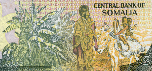 istock Black Women Pattern Design on Somali Currency 1496644663