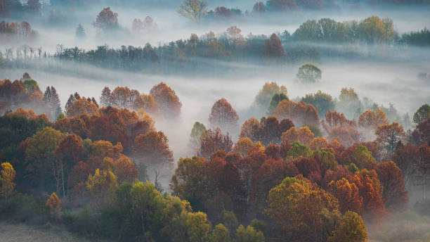 istock Autumnal sunrise over the Adda River 1496647168