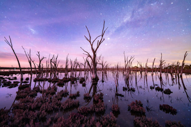 galaxy and trees reflection in the lake as a mirror