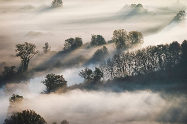 istock Autumnal sunrise over the Adda River 1496653453