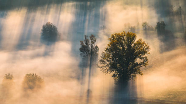 istock Autumnal sunrise over the Adda River 1496656671