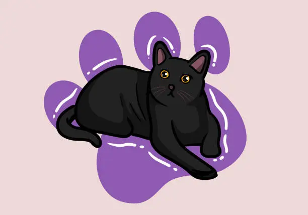 Vector illustration of Cute hand drawn black cat, fluffy fur, and exaggerated features. Cute adorable big eyes kitty kitten cat