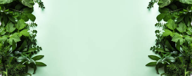 istock Green leaves on green background 1496667454