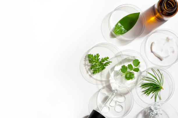 istock Petri dishes, cosmetic gel and plants 1496668674
