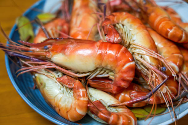 istock Fresh and plump boiled Roche prawns 1496668697
