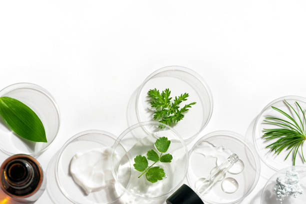 Petri dishes, cosmetic gel and plants Petri dishes, cosmetic gel swatches and plants on white background, copy space. Bio science research, organic skin care concept. healthcare fitness and herbal medicine banner set stock pictures, royalty-free photos & images