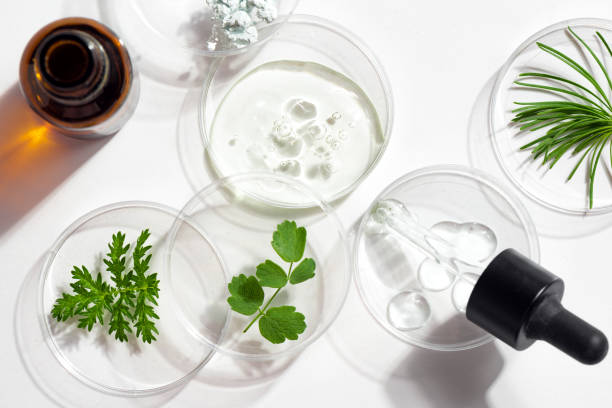 istock Petri dishes, cosmetic gel and plants 1496668711